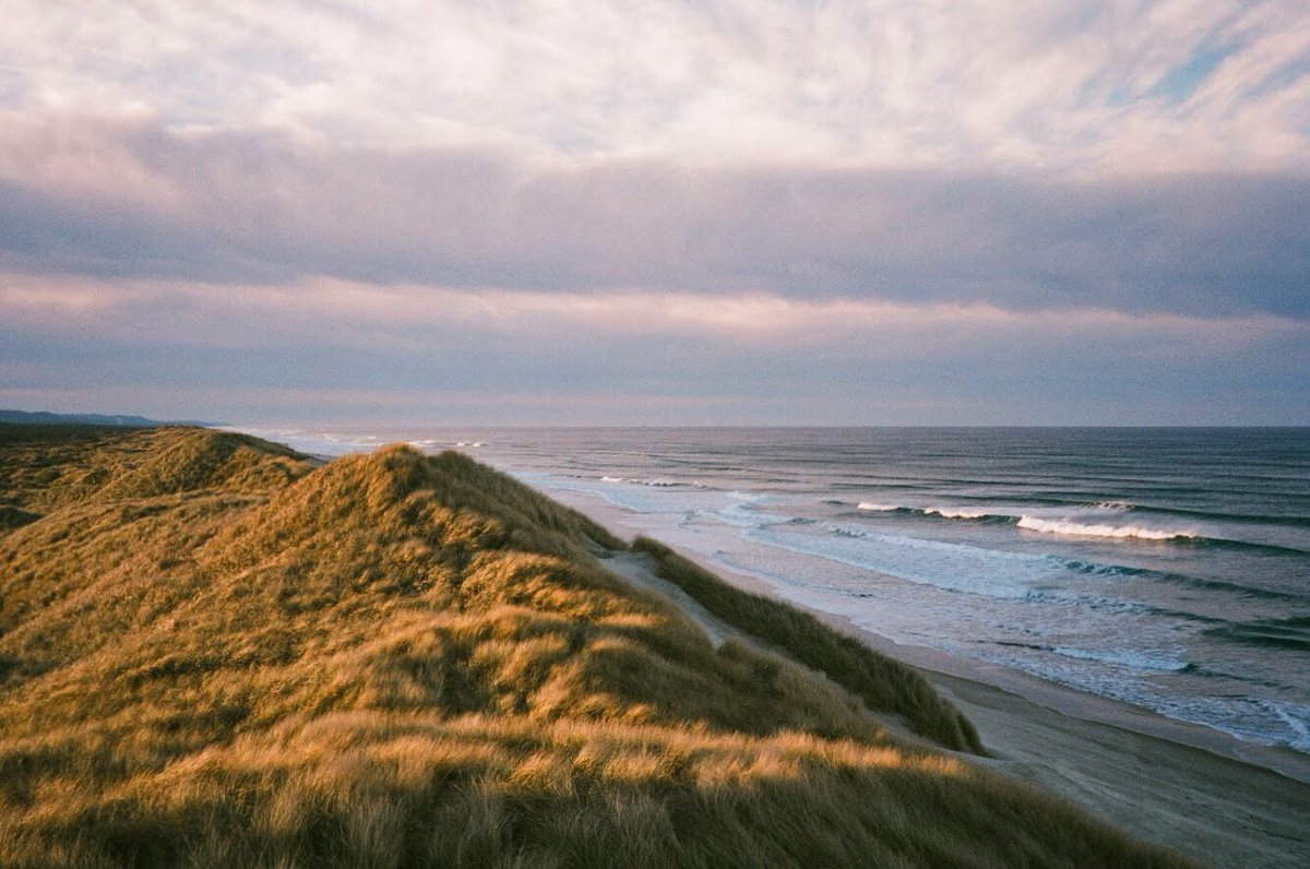 alexxhinson's tweet photo. the oregon coast shot on 35mm film https://t.co/bYM0D7NHZr