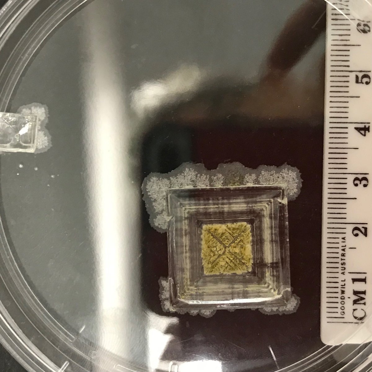 Jacqui Matthews (@lmo_girl) on Twitter photo Taylor is leaving us at <a href="/Mackay_Matthews/">MackayandMatthewslabs</a> but she is leaving behind a special something she found at the bottom of a bottle of potassium iodide! Taylor is leaving us at <a href="/Mackay_Matthews/">MackayandMatthewslabs</a> but she is leaving behind a special something she found at the bottom of a bottle of potassium iodide!