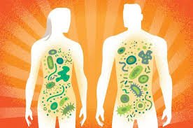 Micropathogene2's tweet image. A study shows that #Gut #Microbiomes Lose Diversity with Immigration
It is observed that as people move from southeast Asia to United States the #microbiome westernize  possibly explaining high rates of #obesity and other #metabolic_issues