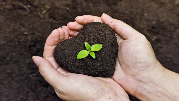 inforoads's tweet photo. https://t.co/v8kS7Rspmp
Here’s a step-by-step guide on how to kick start with organic farming at your home. What it takes to successfully do it from set-up to maintenance.
#OrganicFarming #FarmingTips #HealthyLife #OrganicLife #DIY #InfoRoads #ConnectingIndia #EverythingIndia https://t.co/HoIJaeEiuE