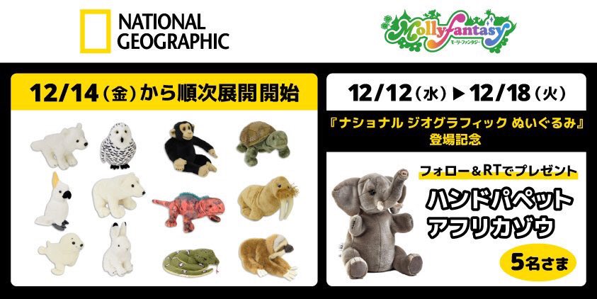mollyfantasy_of's tweet photo. ＼あの #ナショナルジオグラフィック のグッズが当たる！／
当社限定プライズ登場記念!
①@mollyfantasy_of をフォロー
②このツイートをRT !
抽選で #ナショジオ のハンドパペット アフリカゾウを5名さまにプレゼント♪

12月14日から順次展開のプライズ取扱い店舗一覧
→https://t.co/mIQG3vM8io https://t.co/rpM6C4AokL