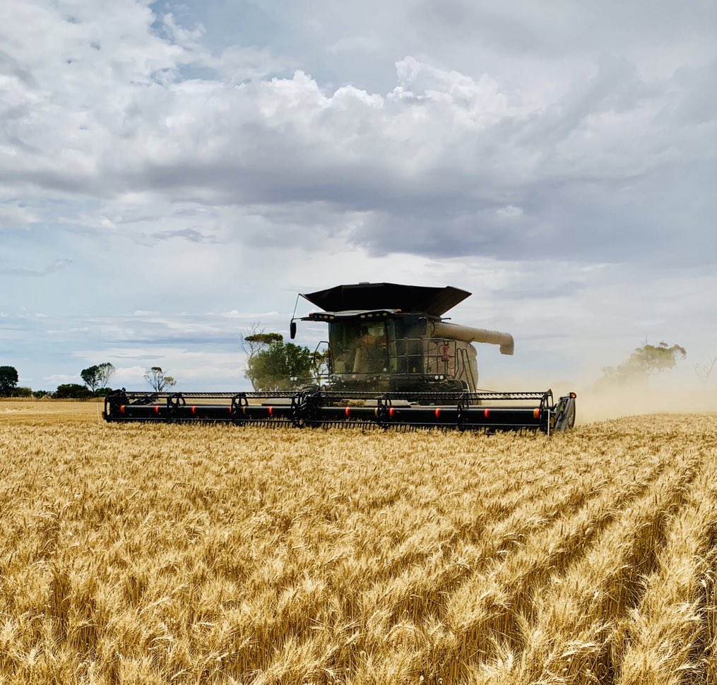 Getting a bit off before the rain 🌾🌧 <a href="/gjeast1/">@gjeast</a> <a href="/KalimarAg/">Kalimar Ag</a> <a href="/AGCOcorp/">AGCO</a> #idealharvesttour
