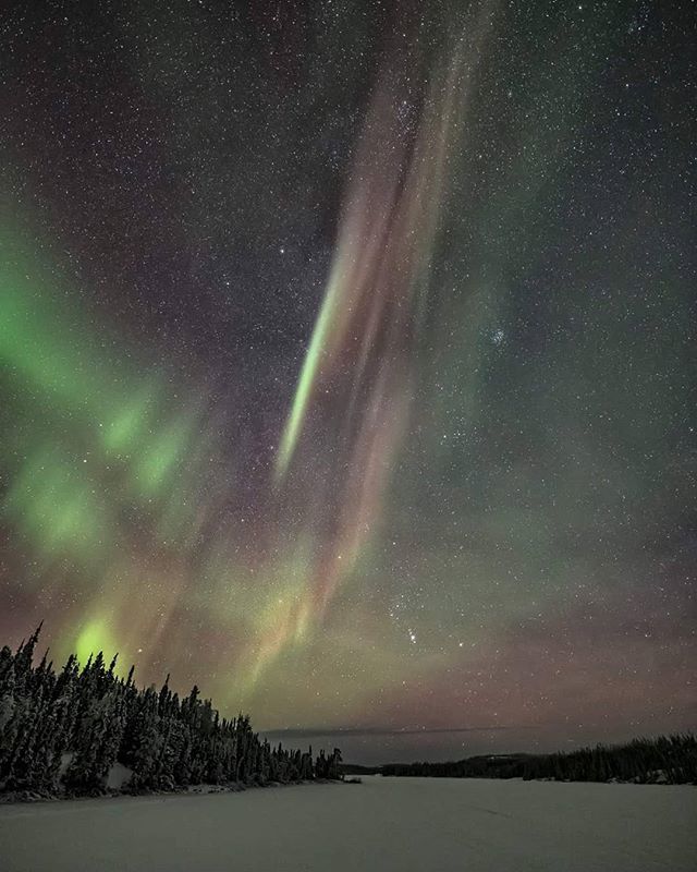 EclecticBlogs's tweet photo. The Streak
Out at Reid Lake on Saturday night. Out second stop of the night.
#Nikon #D850 #Sigma #auroraborealis #aurora #northernlights #spectacularnwt #nwtaurora #cbcnwt #cbcnorth #cangeotravel #canadalife #explorecanada #earthpix #fantastic_earth #ima… https://t.co/pvHHDzRk5T https://t.co/UDlC0g2i7N