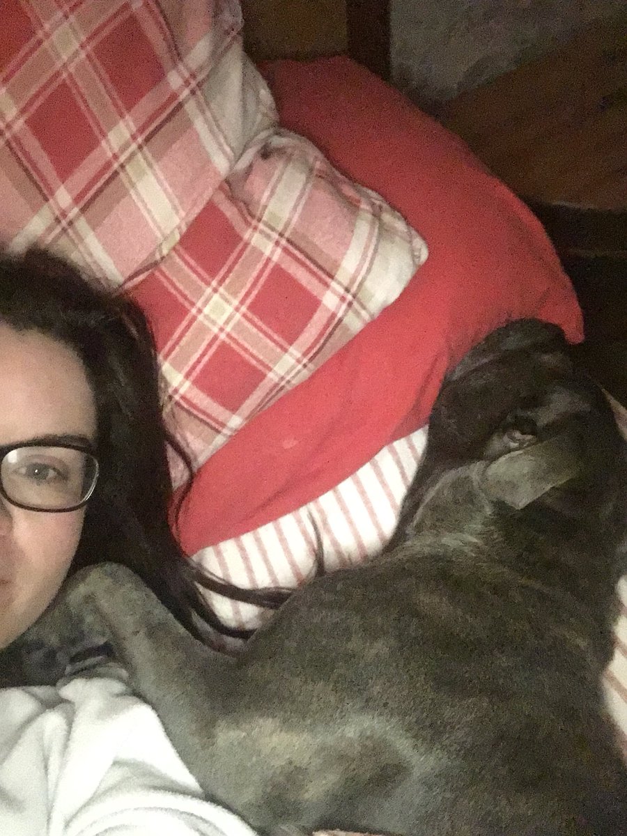 Beckibell's tweet photo. Get a BF they said...... I gotta GF instead #staffie #mygirl https://t.co/o3DvurwU9o