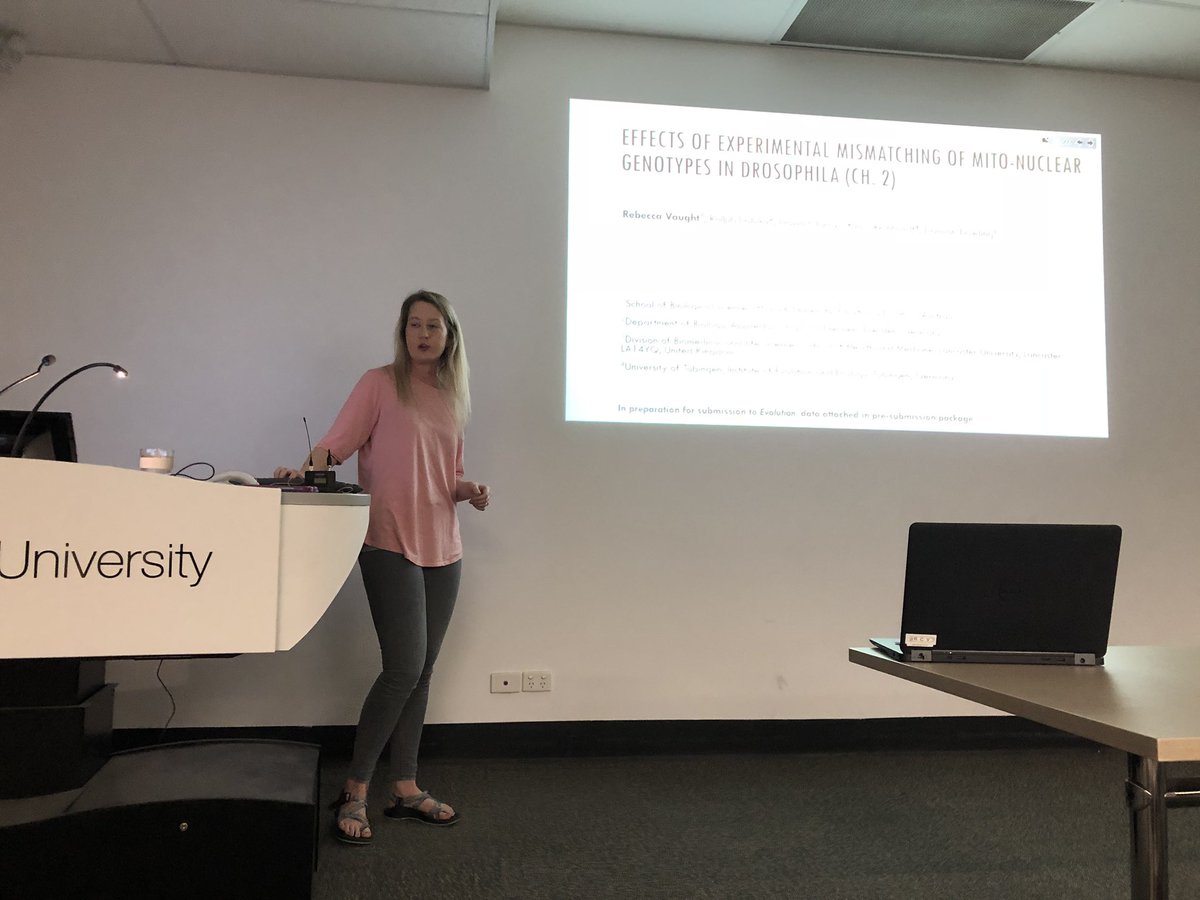 DK_Dowling's tweet image. Congratulations to @rcvaught who gave her presubmission seminar of her PhD research on the role of #mitonuclear interactions, X chromosomes, and Wolbachia in the evolution of sex differences. Stunning research and seminar - well done!

#DowlingLab @RBonduriansky #MonashEvolution