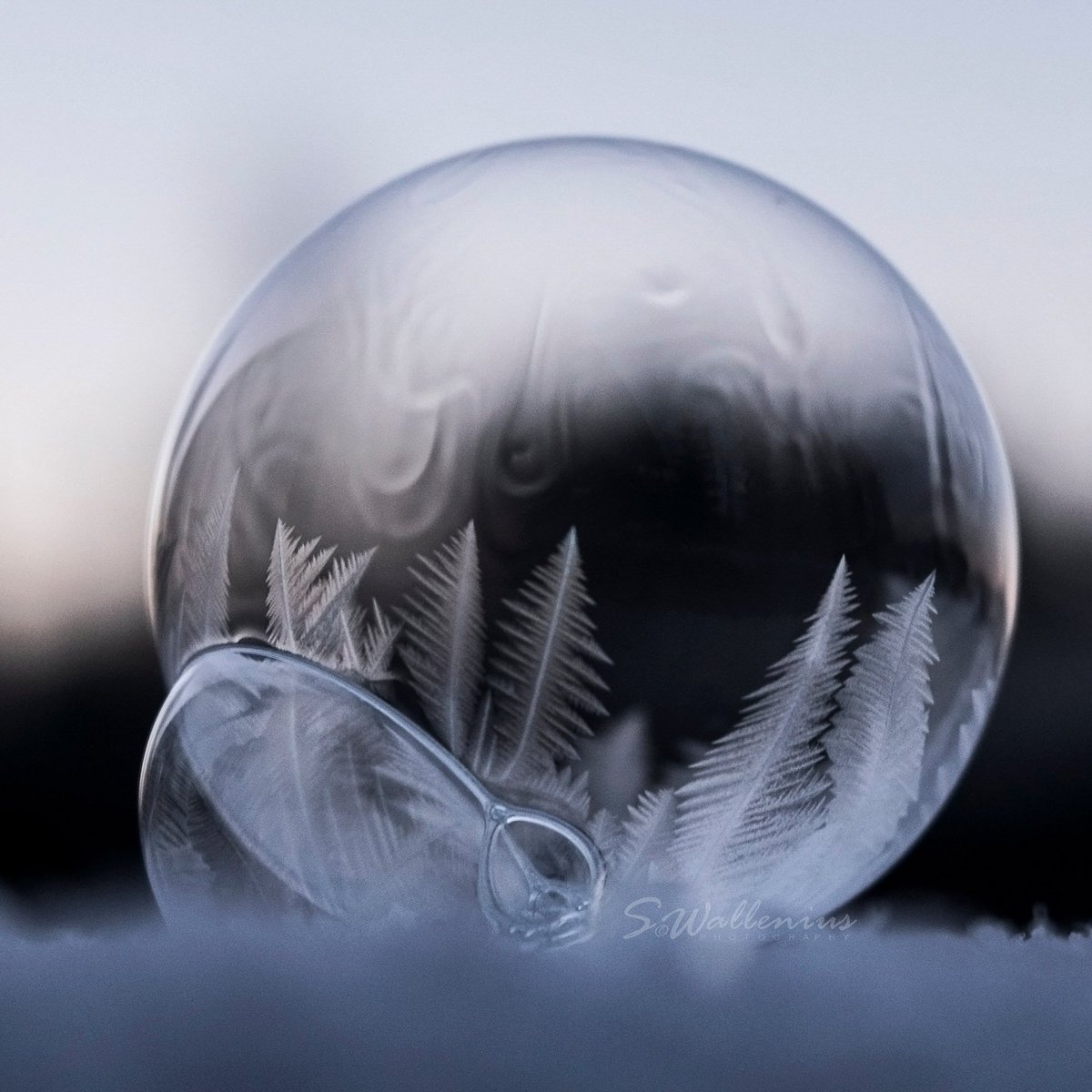 soliwalle's tweet photo. Winterfun with #soap - Things to do in #finland when it's cold.. 💙 Watch #soapbubbles freeze. #frozensoapbubbles #goodmorning #nordic #countryside #photography https://t.co/Ftoxvge3nO
