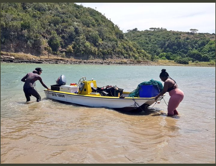 NRF_SAIAB's tweet photo. This is the team that worked on #telemetry on Day 2 of #SummerSchool - monitoring movements and migrations of marine animals.
#TeamFish #MovementBehaviour #telemetry https://t.co/NurL0OVBiY