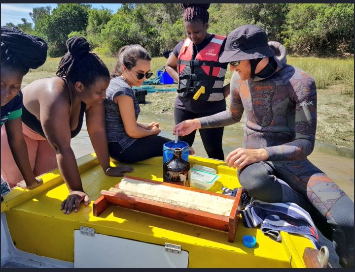 NRF_SAIAB's tweet photo. This is the team that worked on #telemetry on Day 2 of #SummerSchool - monitoring movements and migrations of marine animals.
#TeamFish #MovementBehaviour #telemetry https://t.co/NurL0OVBiY