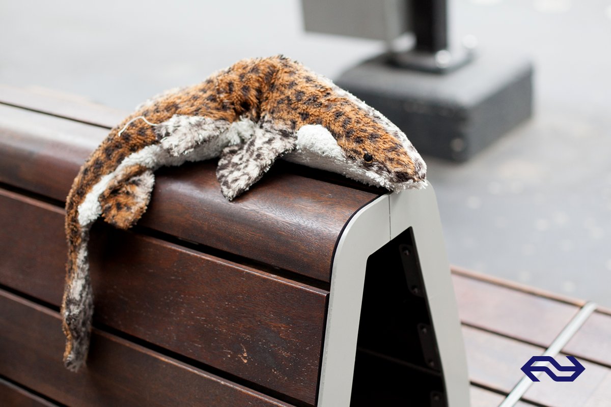 NS_online's tweet image. Harry is gestrand op station Arnhem en mist zijn baasje enorm. Weet jij welk kindje hem verloor? #weekvandeverlorenknuffel #knuffelkwijt