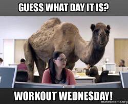 abiskardonfit's tweet image. Morning all!!

9.15am Kettlercise... last one of the year! Can’t wait. See you shortly- bring your kettlebells in to warm up 🤣💪 #wednesdayworkout #wednesdaymotivation #decemberworkout #keepmoving #thefitnessmix #kettlercise #kettlerciseinstructor