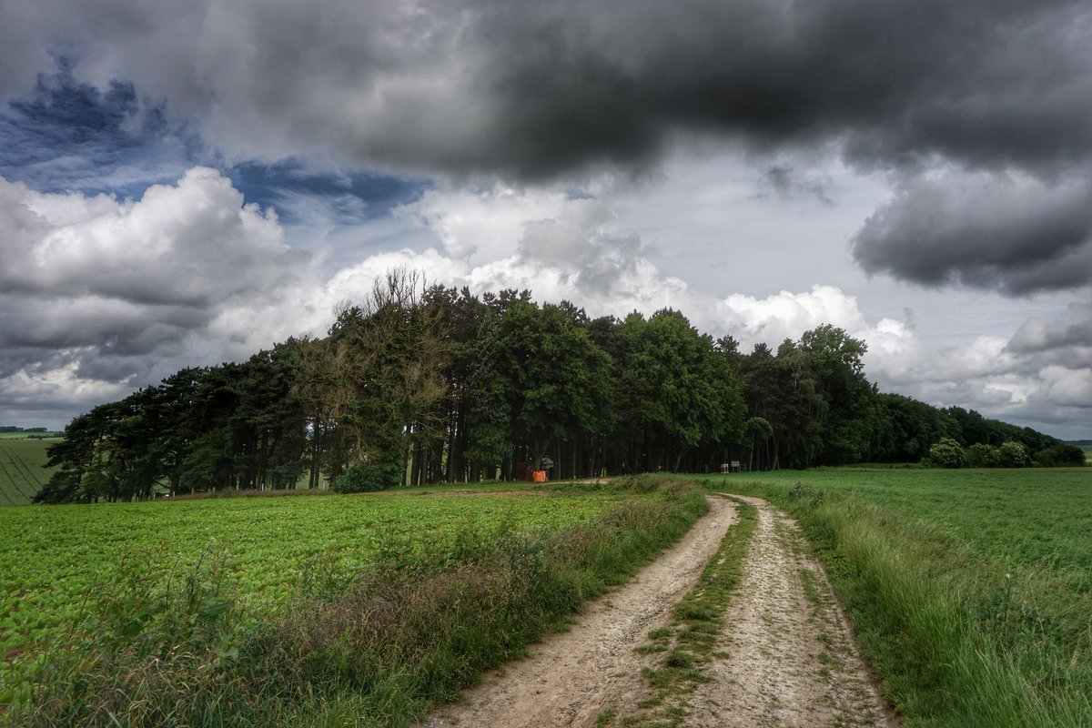 LegerBattleTour's tweet photo. #BattleFocus: Following the #Sheffield Pals we walk up the track to the battlefield at Serre, a Killing Field in 1916 where the Pals battalions suffered heavy losses from machine-gun fire on 1st July 1916: the First Day of the Battle of the #Somme. 2/4 https://t.co/962yVAvh1b