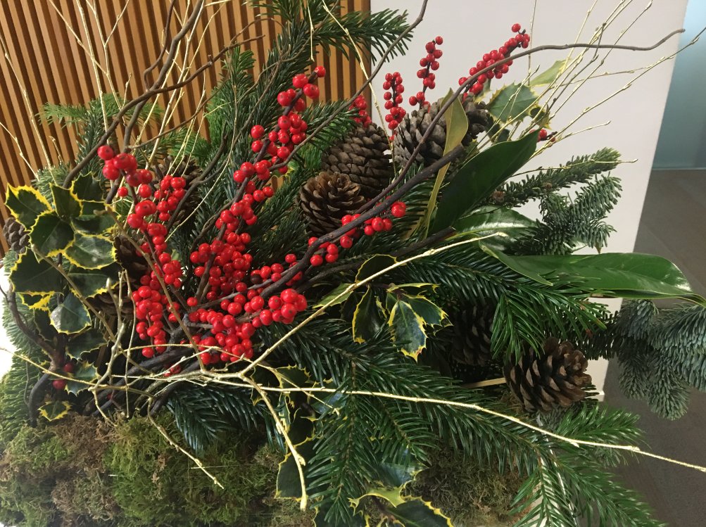 GrupoAdlanter's tweet photo. ¡El espíritu navideño también ha llegado a las oficinas de #Madrid! 🎄
Y tú, ¿estás preparado para las fiestas? 

#NavidadGD #FelizMiércoles https://t.co/UWduvLdahA