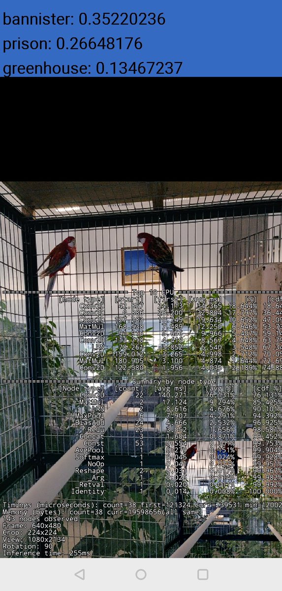 fidacaro's tweet image. #DeveloperArt #Innovator #TensorFlow #animals #error