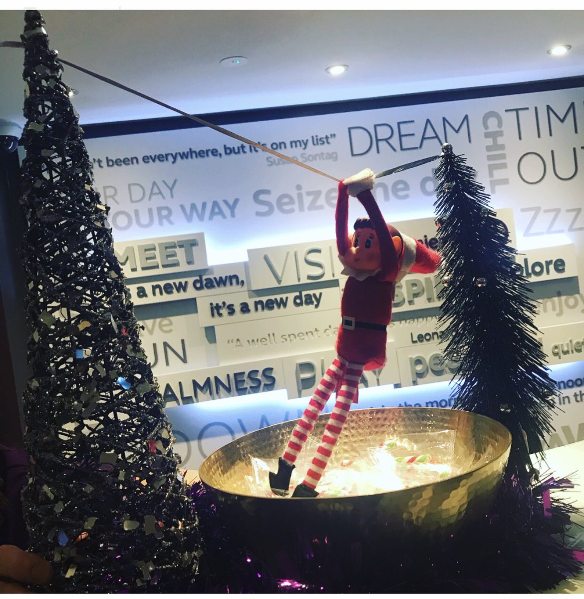 Elf is up to his old tricks again!🙈🎄🎄🎄 

#elfontheshelf #premierinn #TeamCentral 
<a href="/nic_leiccentral/">Nic@AHMleicnorthwest_pi</a> <a href="/hinsonyates47/">Tony Hinson Yates</a> <a href="/wanny_8/">Mark Wanless</a>