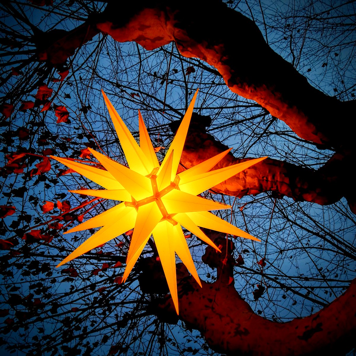 Cette photo que j'aime beaucoup, pour les victimes et leurs familles.😢

#StrasbourgMonAmour #Strasbourg