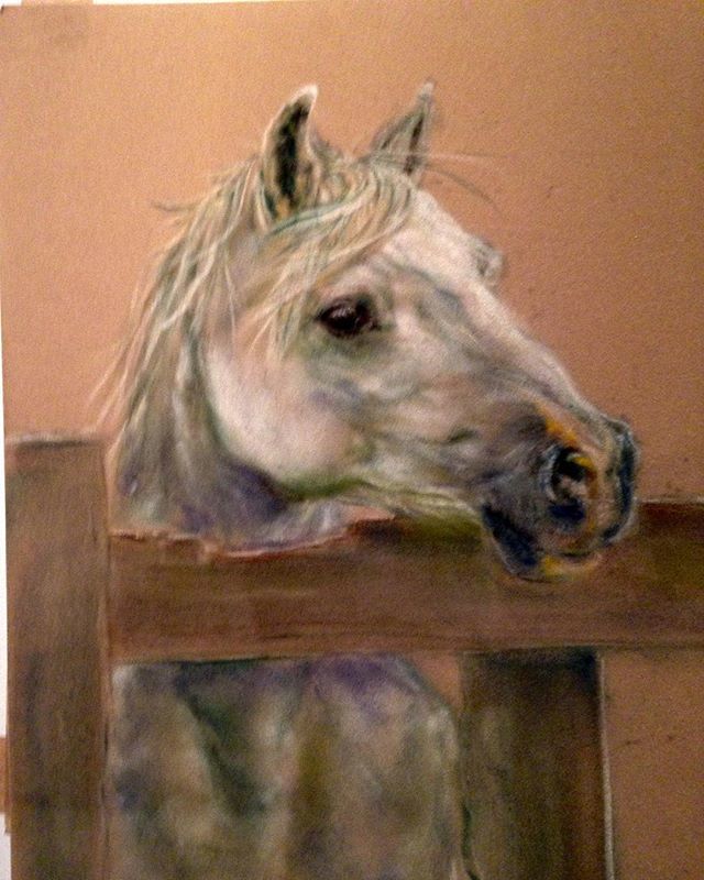 IreneCorderyArt's tweet image. #practicalart #pastelart #instarart #instarartist #instartist_ #instartist #animalart #animalartist #dailyart #artsake #horse #artsy #creativeart #pastelpainting #gallerylife #gallerylove #galleryexhibition #artexhibit #art_spotlight #artlovers #artwork … ift.tt/2zXvHCO