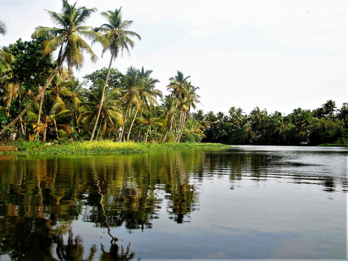 Backwaters of Alleppey, Kerala, India... No wonder it's called God's Own Country
#allapuzha #vembanadlake #kumarakom #incredibleindia #india #kerala #GodsOwnCountry #backwaters #PhotoOfTheDay #houseboat #traveldiaries #greenery  #bestnatureshot #photography #nofilter #alleppey