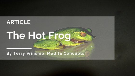 XOrdinaryWomen's tweet photo. Member Article: The Hot Frog by Terry Winship from @MuditaConcepts.
The boiling frog is a fable about how humans react to slow or fast change.
Read the full article here: https://t.co/dHRPLtFfBd #MemberArticle https://t.co/A8yuWkhOoH