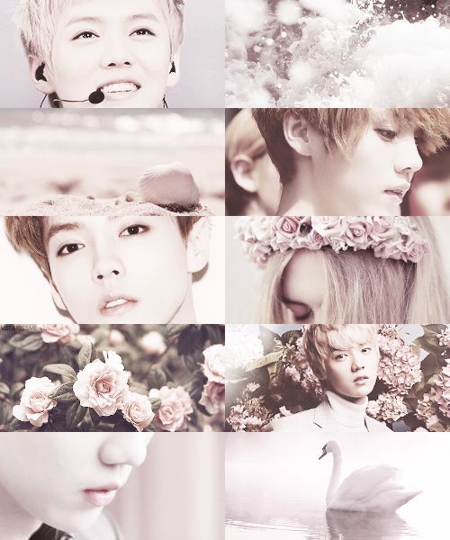 Son of Aphrodite [Vignette] — by @Showluvhan exofanfiction.wordpress.com/2018/12/12/son…