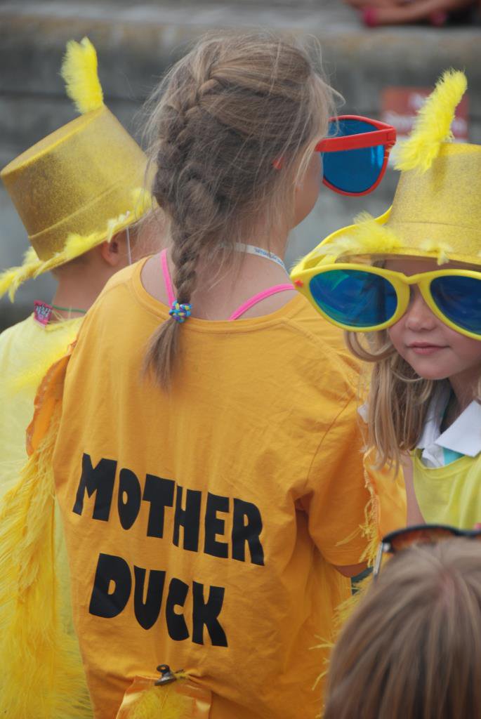 Knysna Splash tweet media