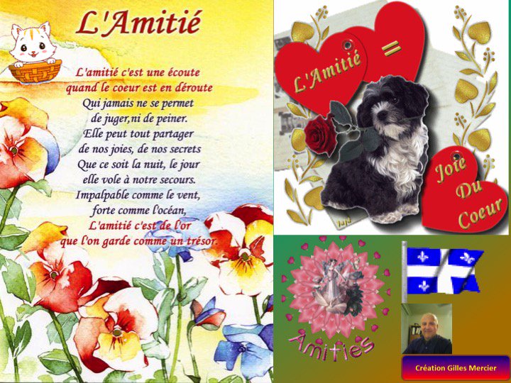 Roger Cornacchio Lionnissimo Twitter Roger Cornacchio Lionnissimo Twitter