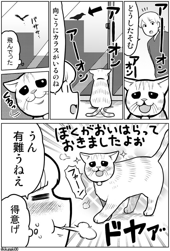 カラス　#タレ目猫そむ　#タレ目猫そむが可愛すぎるんじゃ 