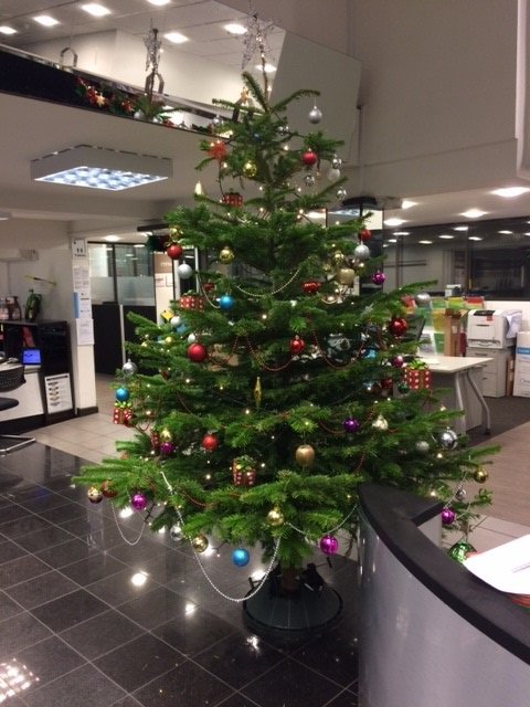 It's beginning to look a lot like Christmas here at Jacksons Guernsey 🎄🎅