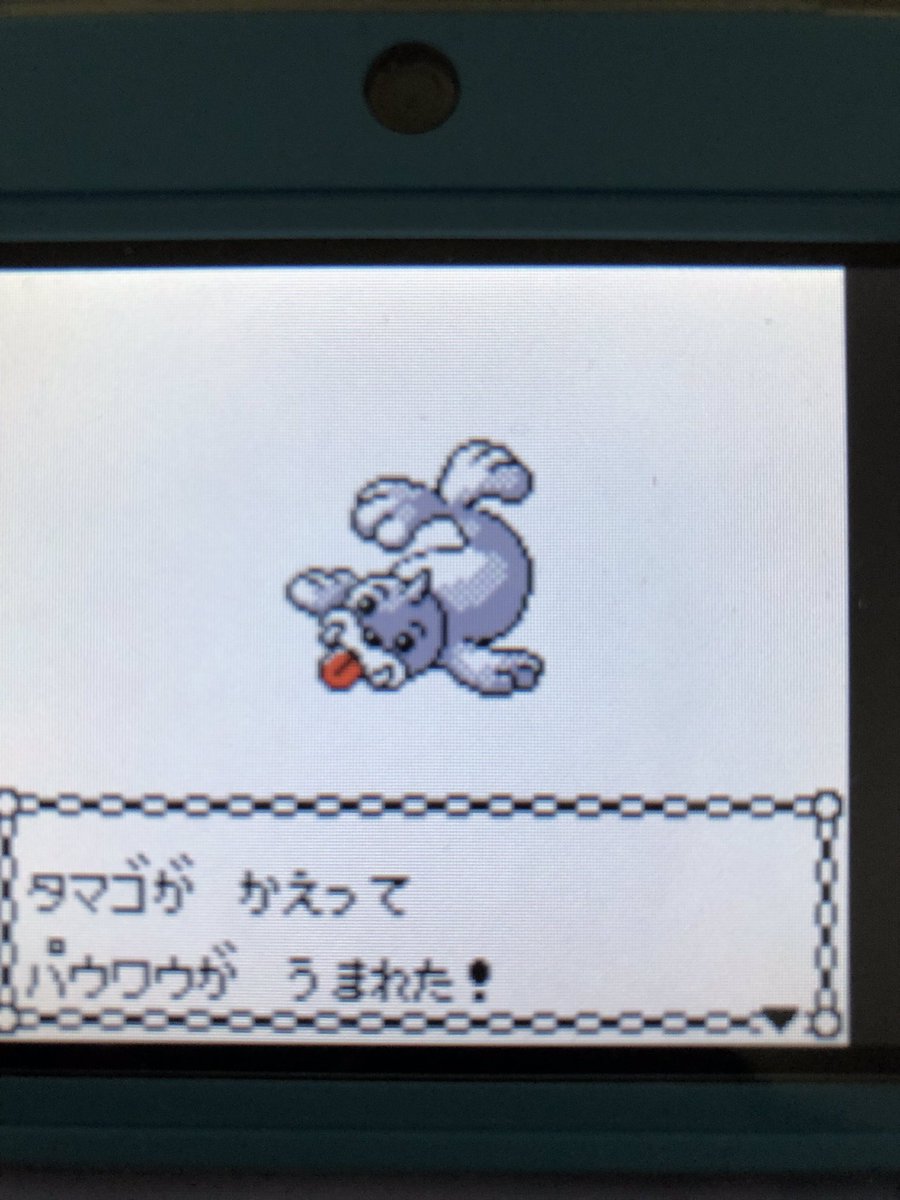 色違いポケモン紹介 Vc産パウワウ 自由に生きてあそblog
