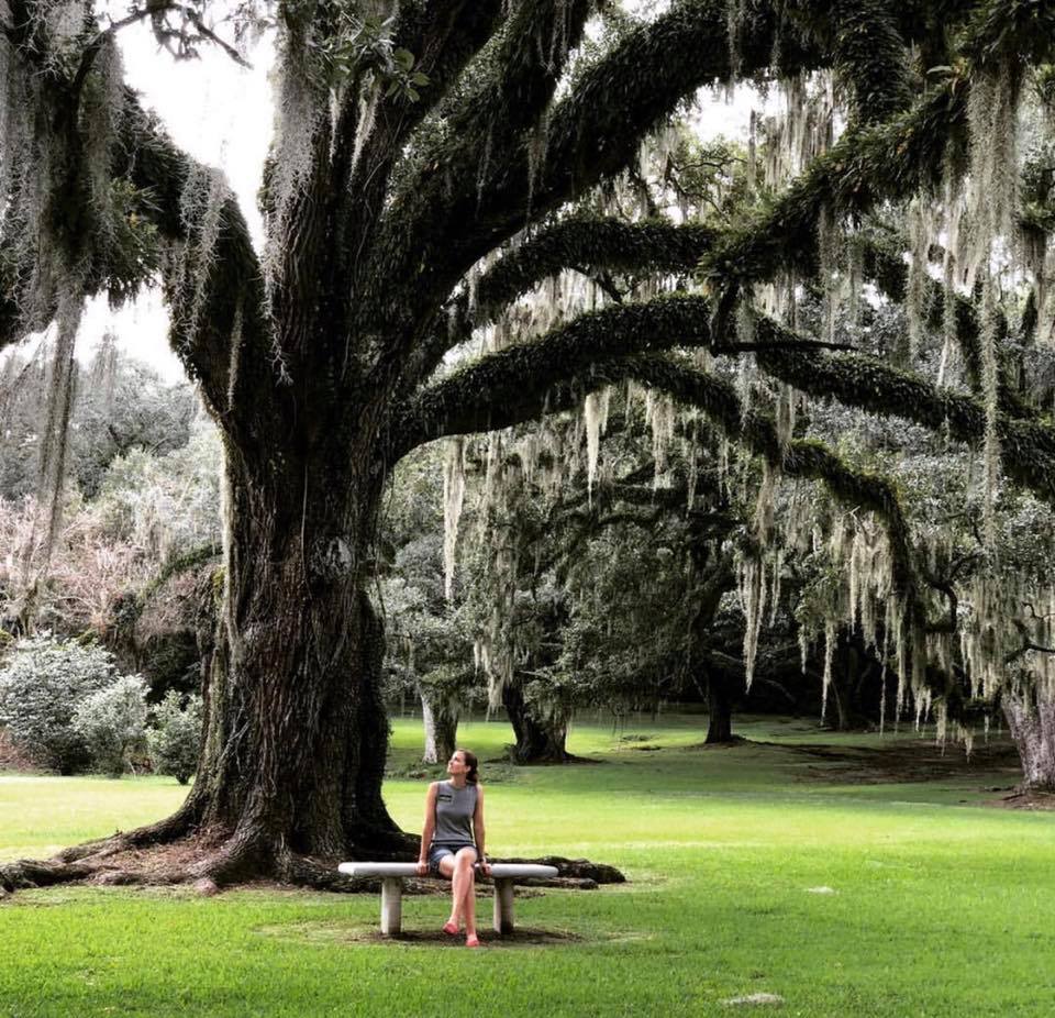 JungleGardensLA's tweet photo. Nature is not a place to visit, it is home.
๐ธ: @julianbregnard
#AveryIsland #JungleGardens #OptOutside #AveryLife #Nature #Explore https://t.co/vE4AFrFfDz