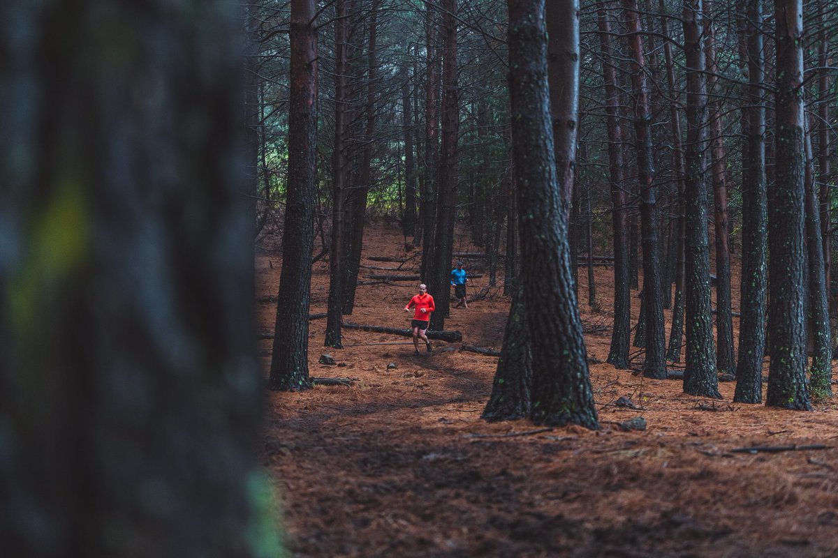 glencairntr's tweet photo. Hand-prepared pine single tracks are enjoyed on both day 1 & day 2 by our #ramrunners π²
Join us on the 12th & 13th October 2019.
https://t.co/9XVDzW3K4X
#gctr #trailrunning #runsouthafrica #drakensberg #sanipass https://t.co/iP20TbZSGY