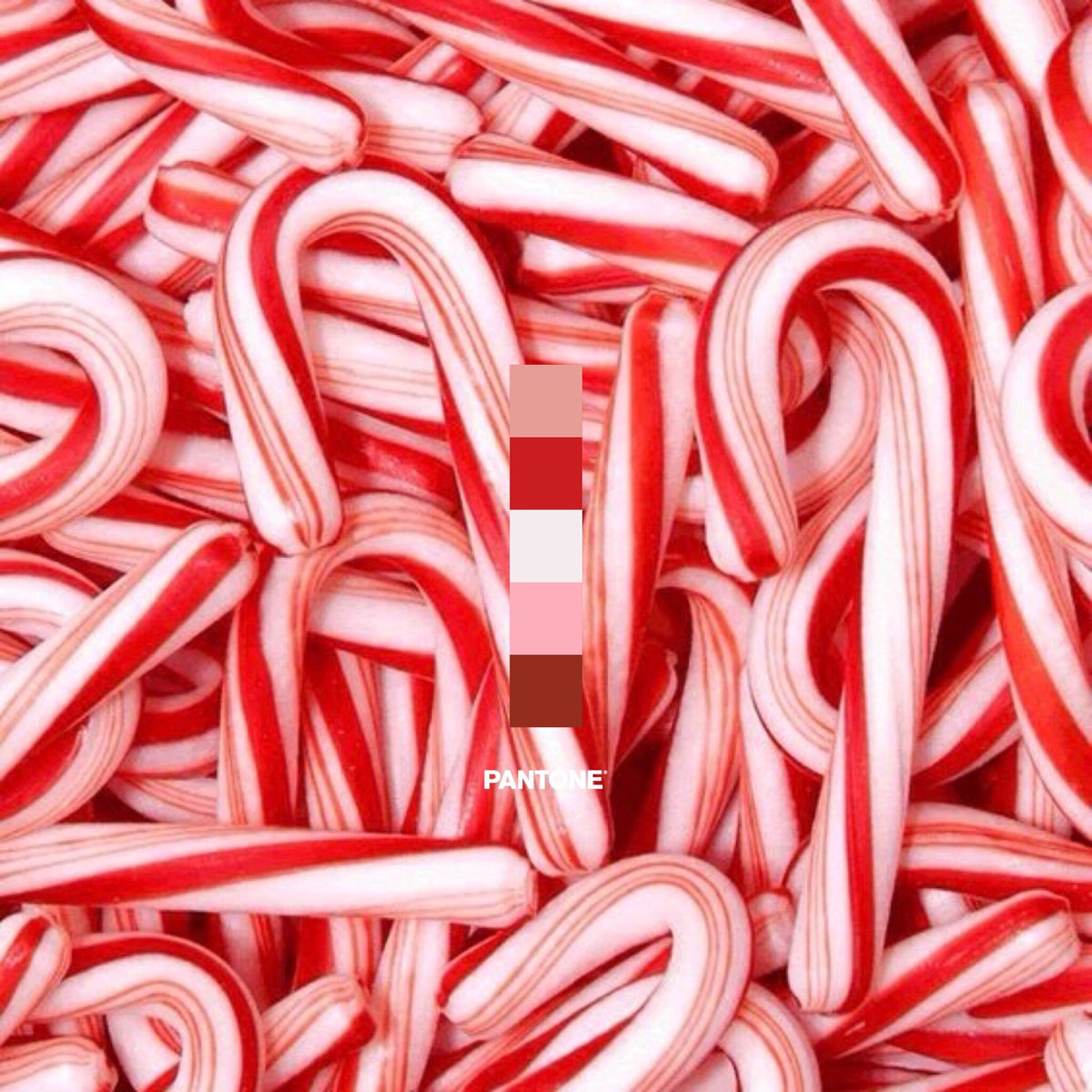 everydaypantone's tweet photo. The Everyday Pantone :: Candy Cane 
#candycane #peppermint #pantone #dailypantone https://t.co/kk9tSzXXUa