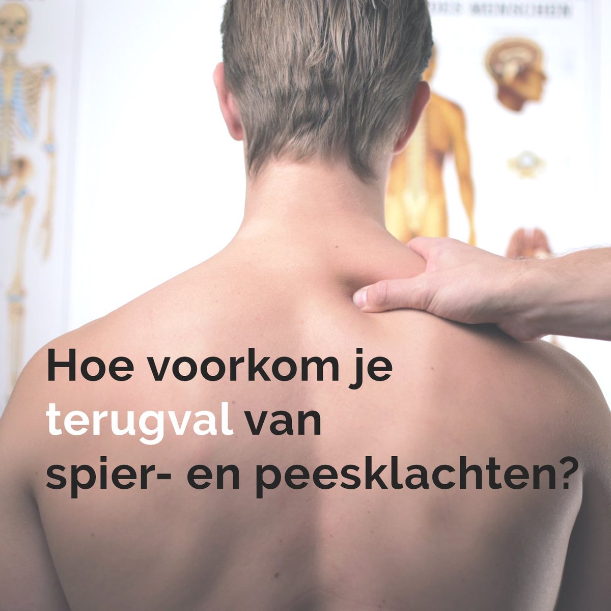 Hoe voorkom je een terugval van spier- en peesklachten bij patiënten? In dit blogartikel lees je de ervaringen van  fysiotherapeuten Brigitte Dooren en Jaap Wonders: bit.ly/2EejSvc
#blog #fysiotherapie #kennis #fysiotherapeut