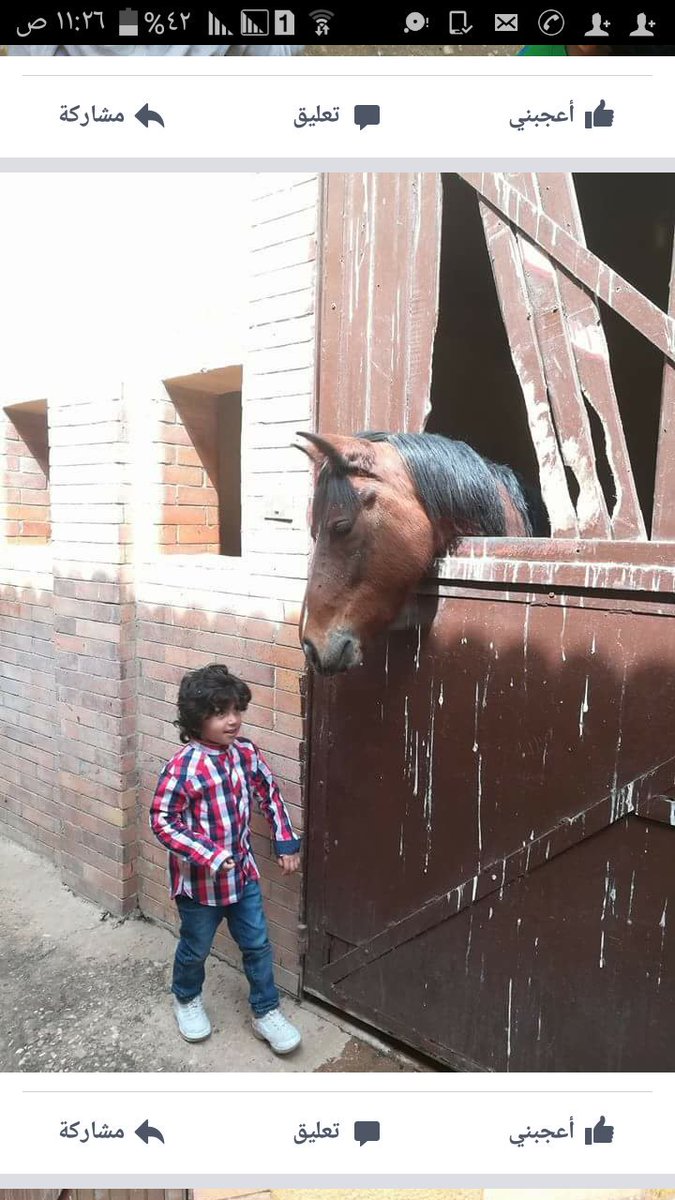 بودي 💔💟💔