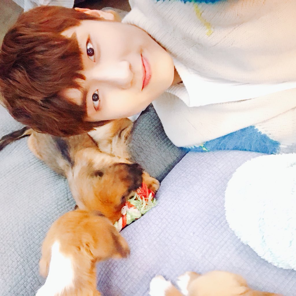 myteen_official's tweet photo. [#천진 #은수 #국헌]
유스여러분들 다들 개판5분전 브이앱 잘 보셨나요?ㅎㅎ
저희는 너무나도 행복했던 생이었습니다... 이제 생을 마감해도
여한이 없습니다.. 역시 귀여운게 최고야..😭 https://t.co/J0sAxDHTP7