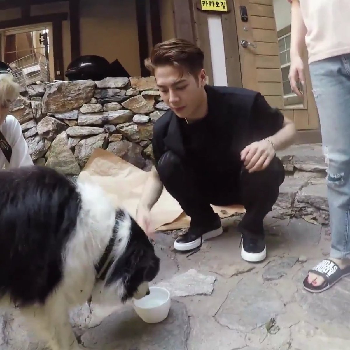jinseuniee's tweet photo. puppies 🐶❤👑 #GOT7 #MAMAVOTE #갓세븐 #2018MAMA https://t.co/qVO5Z9zKHd