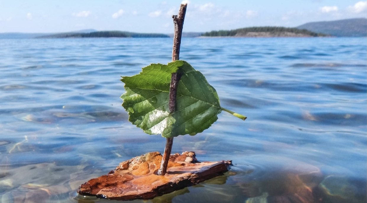 Torbjörn Aladåb Såskopp on Twitter: "Barkbåtar e verkligen jättefina det  ska de allt ha… "