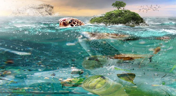 #FelizMiercoles #Seaflower! De ahora en adelante Trash Busters recogerá tus residuos por separado: lunes y jueves residuos ordinaries no aprovechables y martes, miércoles y viernes residuos reciclables!! Solo con tu ayuda podremos reducir la contaminación! #YoSoySeaflower ♻️