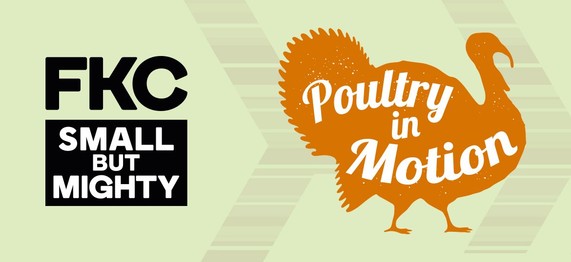FKC are fundraising for C4WS, a charity who help the homeless get their lives back on track.
And, as we’ve moved to 1 Poultry, our fundraiser 'Poultry In Motion’ is a run around London dressed in turkey suits!
Please sponsor us at: beemidtown.charitycheckout.co.uk/cf/FKC