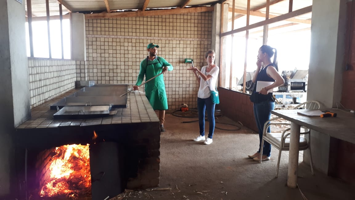INTNPy's tweet photo. 2/3 Las funcionarias del Organismo de Investigación y Asistencia Tecnológica, Alcira Orlandini y Laura Silva visitaron fábricas e industrias del rubro melero, además del Instituto de Tecnología de Pernambuco y Fundación Gilberto Freire. https://t.co/Sul9T3mPug