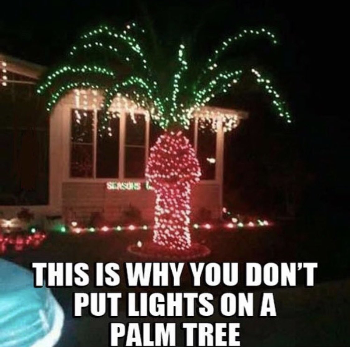 SmartAssTwit's tweet photo. 😬
#WednesdayMotivation #WednesdayWisdom #Christmas #Christmas2018 #christmastreelightupcelebration #christmastreelights #christmastree #christmaslights #floridawinter  #florida #palmtrees #California https://t.co/dobrkB0gXJ