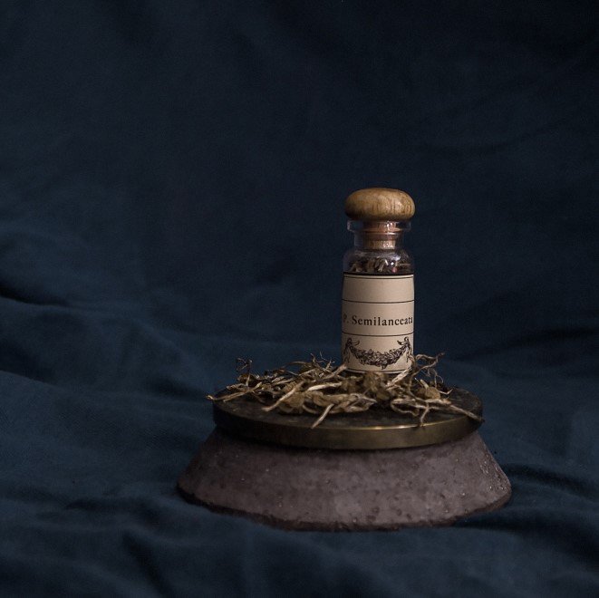 Take a deep dive into homeopathy with Urban Wellness’ Kirk Kerr. ow.ly/SQR530mRuUx