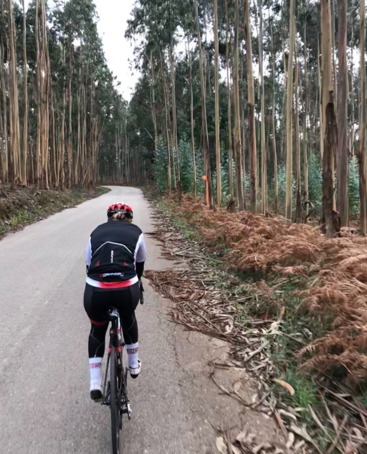 steph roorda tweet media