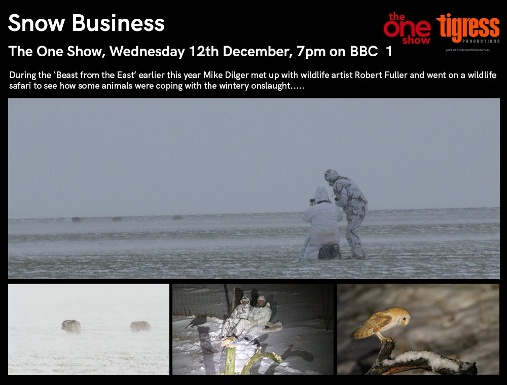 See how <a href="/DilgerTV/">Mike Dilger 💚</a> and <a href="/RobertEFuller/">Robert E Fuller</a> get on as they brave the 'Beast from the East' in search of some very tough Hares - tonight on <a href="/BBCTheOneShow/">BBC The One Show</a> at 7pm.