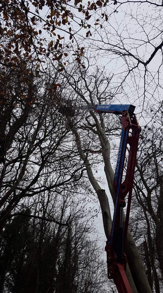 dromadhire's tweet image. …
Spotted - one of our @HINOWA_SPA 66ft Tracked Spider Booms. Displaying this unique manoeuvre in reaching those hard to get at branches! 

#WeSolveProblems 👍 

#IrishRentalFirmoftheYear2018🇨🇮️ 

#NoHeightisUnreachable ⬆️ 

#TreeSurgeryProject