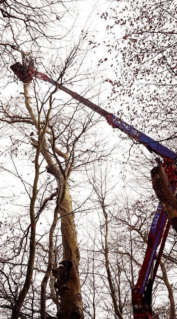 dromadhire's tweet image. …
Spotted - one of our @HINOWA_SPA 66ft Tracked Spider Booms. Displaying this unique manoeuvre in reaching those hard to get at branches! 

#WeSolveProblems 👍 

#IrishRentalFirmoftheYear2018🇨🇮️ 

#NoHeightisUnreachable ⬆️ 

#TreeSurgeryProject