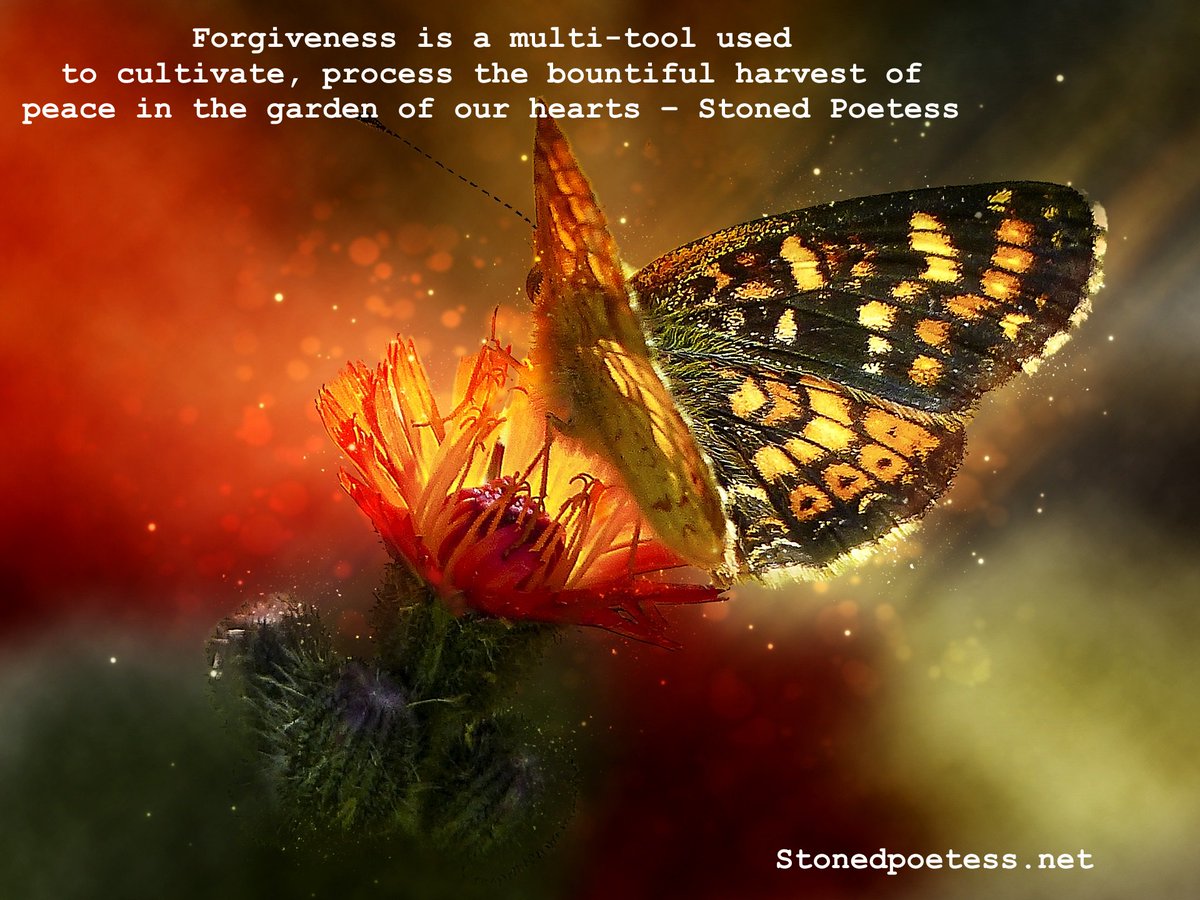 StonedPoetess's tweet photo. Yes it is so https://t.co/GTlIAbK09X