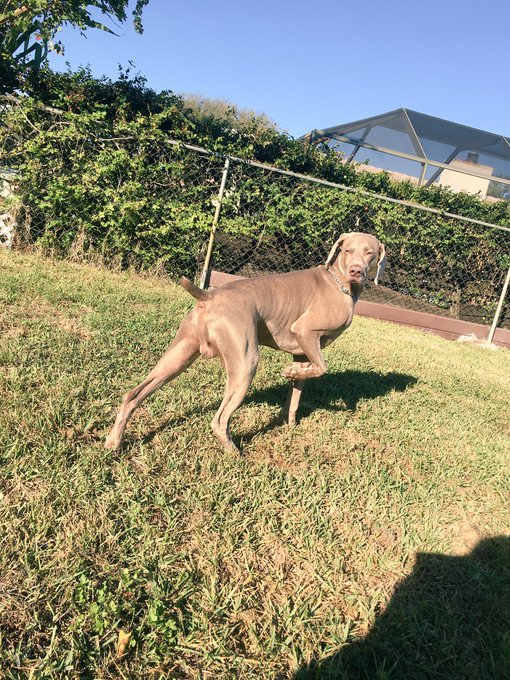 🧡🧡🧡🧡🧡🔓 https://t.co/yR7kbfiEwP<a href="/tag/presents"class="tags"><span>#presents</span></a>