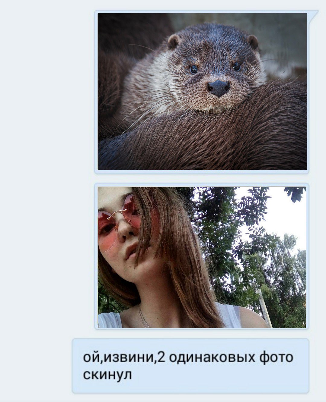 Одинаковые фото Мем