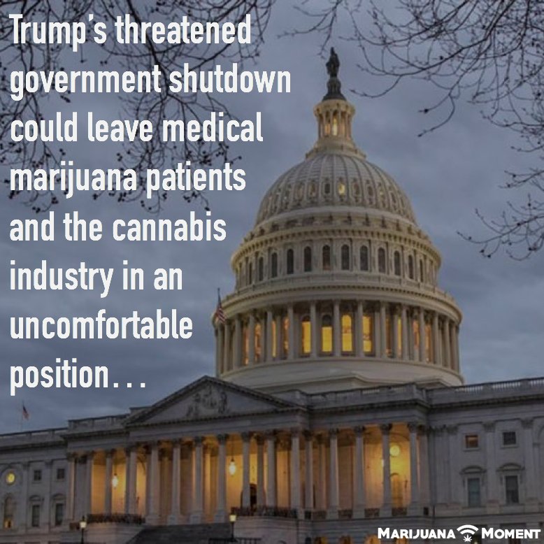DrJaneOfficial's tweet photo. The connection between govt shutdown and #marijuana may not be immediately apparent, but the fact remains that #shutdown could leave #mmj patients and providers in an uncomfortable position. Read more: https://t.co/k65SRK8qvR (cvia @MarijuanaMoment) #mmjnews #doctorjane #cannabis https://t.co/vmuCG98pCc