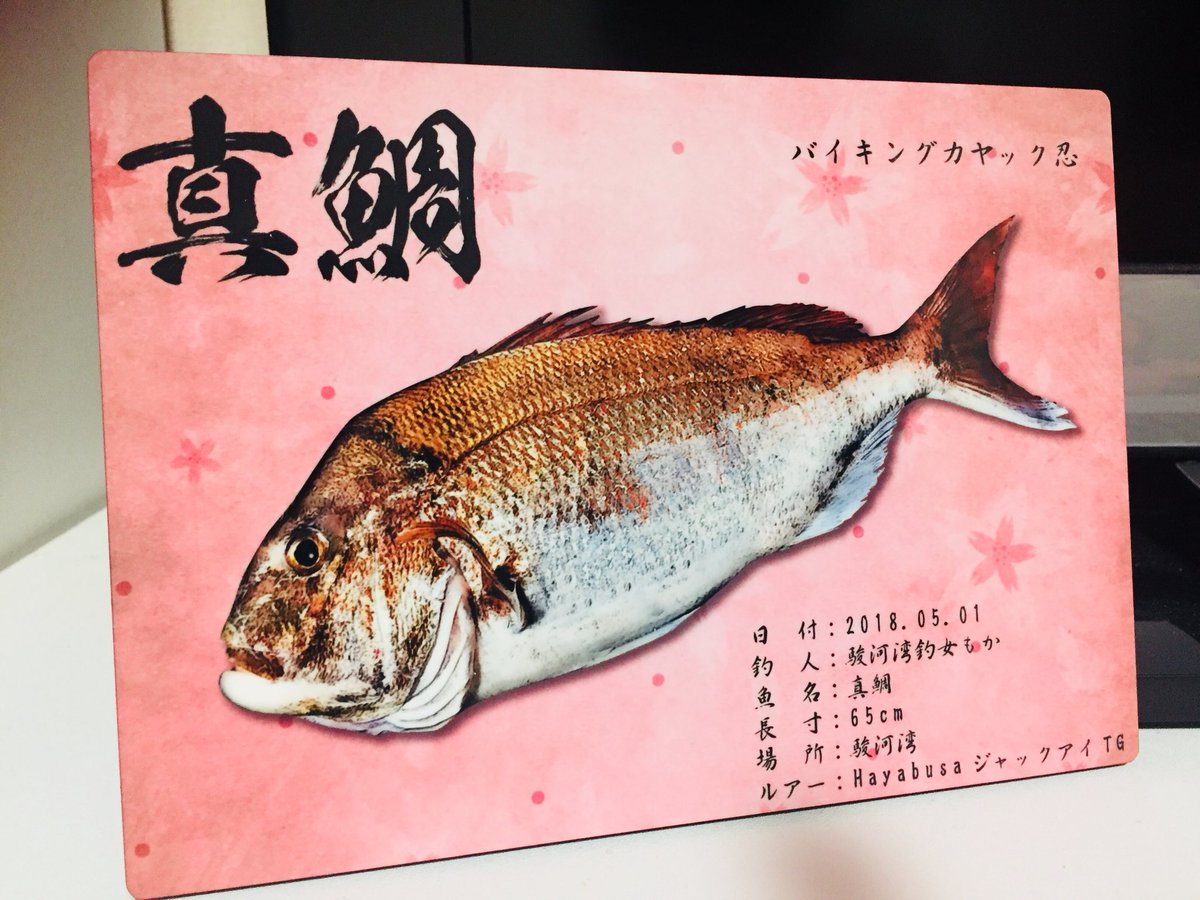 釣れない釣女もか على تويتر カヤックで真鯛様とのファイティン Youtubeでは50アップのしか動画にできなかったけど あの引きは忘れられない 魚拓にして良かった 魚拓 Refish カヤックフィッシング 駿河湾